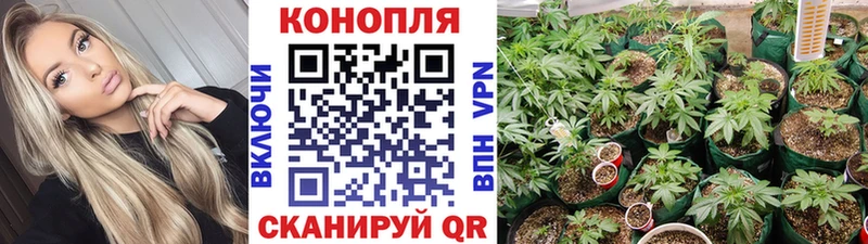 Alpha PVP Новоузенск