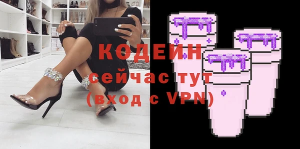 индика Абаза