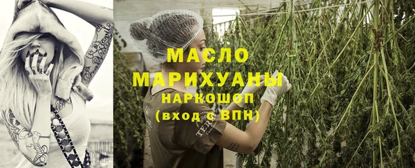 индика Абаза