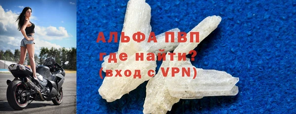индика Абаза