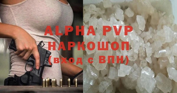 индика Абаза