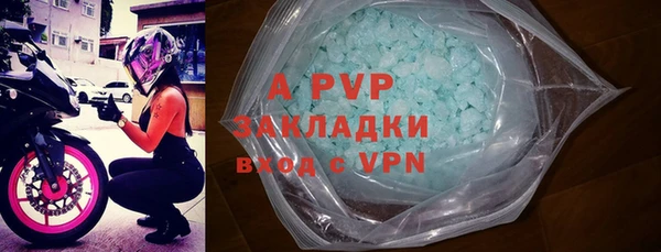 индика Абаза