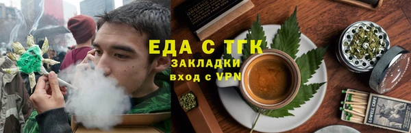 индика Абаза