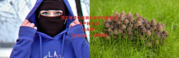 мет Алексин