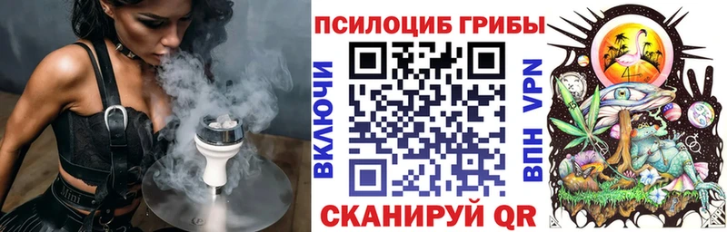 Псилоцибиновые грибы MAGIC MUSHROOMS  Новоузенск 