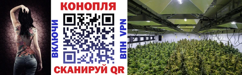 Бошки Шишки конопля  хочу   Новоузенск 